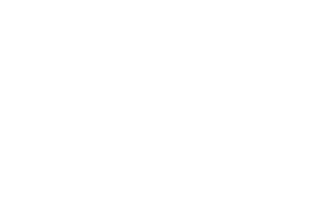 Rorzone logo